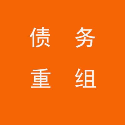 皂市镇个人债务重组优化